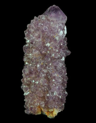 Cactus Quartz (Amethyst) Crystal - South Africa #64224
